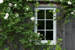 Grail JB.02 -Mylands 1 94b1aeca e1ac 46e2 b8a3 7dac90e640d6