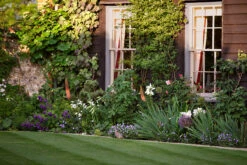 Sargasso JB.04 -Mylands 1 db3fa8ee 58e8 49a2 a413 d6b5e9d698e1