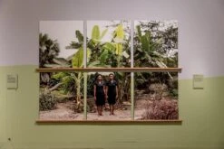 French Green™ No.187 -Mylands DPG Soulscapes 4000px 4O0A2754