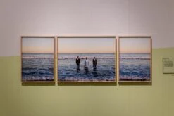 French Green™ No.187 -Mylands DPG Soulscapes 4000px 4O0A2764 1