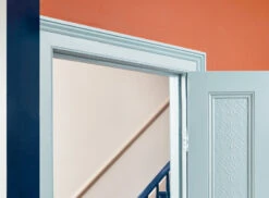 Coral Orange™ No.277 -Mylands Walls Coral Orange No277 Vibrant Coral Orange Paint 8 c62cfaa4 ea03 407c 9167 f707aa324797