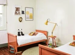 Lemon Salts™ No.43 -Mylands Walls Lemon Salts No43 Pale Yellow Green Paint 2 d34439e9 de4c 40a6 a325 fc8e5645ce0c