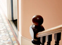 Peach Flesh Pink™ No.268 -Mylands Walls Peach Flesh Pink No268 Peach Pink Paint 8 39d0f21f e538 4c4d af17 82d74f13c6da