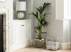 Sloane Square™ No.92 11 Sloane Square™ No.92 -Mylands Walls Sloane Square No92 Pale Neutral Paint 15 e8394e45 0776 409b 8269 35dad349ffdc