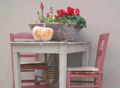 Mortlake Red™ No.290 -Mylands chairs Mortlake Red No290 Dusty Red Paint 2 46ef1d8d 0e68 4e08 b6dc 218d77c2cbcf